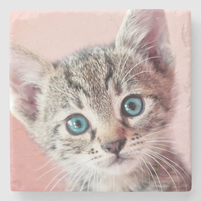 Posavasos De Piedra Gatito lindo con los ojos azules (Anverso)