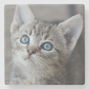 Posavasos De Piedra Gatito lindo en el jardín