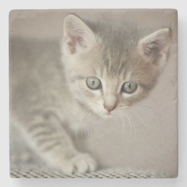 Posavasos De Piedra Gatito minúsculo (Anverso)