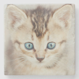 Posavasos De Piedra Gatito observado azul