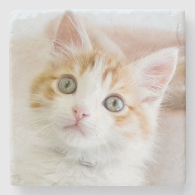 Posavasos De Piedra Gatito observado azul dulce (Anverso)