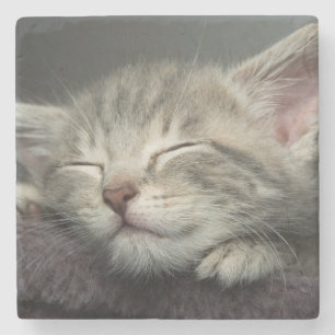 Posavasos De Piedra Gatito soñoliento