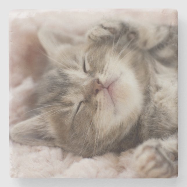 Posavasos De Piedra Gatito soñoliento (Anverso)