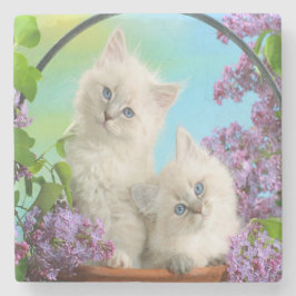 Posavasos De Piedra Gatitos