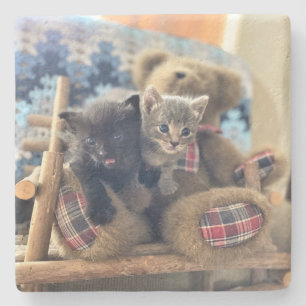 Posavasos De Piedra Gatitos desenmascarados - Merlin y Guinevere -