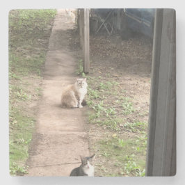 Posavasos De Piedra Gato
