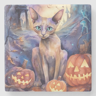 Posavasos De Piedra Gato abissiniano de Halloween con miedo a la calab