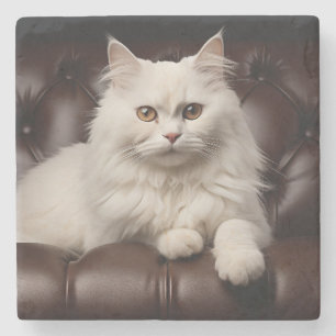 Posavasos De Piedra Gato blanco majestuoso