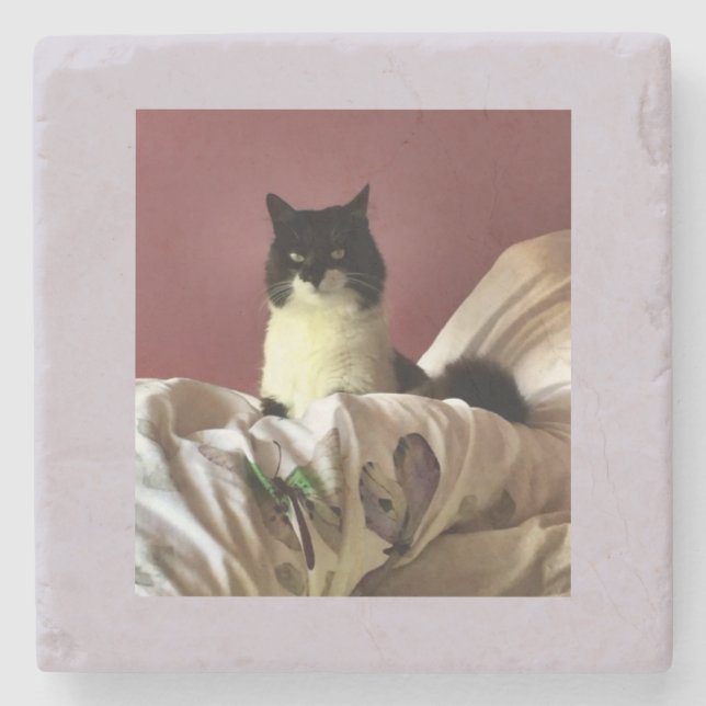 Posavasos De Piedra Gato chillax (Anverso)