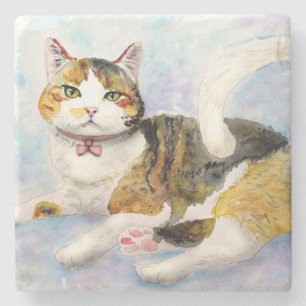 Posavasos De Piedra Gato de agua