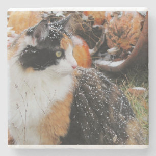 Posavasos De Piedra Gato de Calico en tormenta de nieve