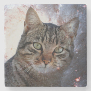 Posavasos De Piedra Gato espacial