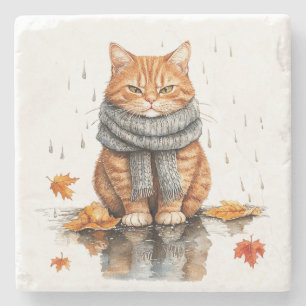 Posavasos De Piedra Gato Naranja Gruñón en la Lluvia
