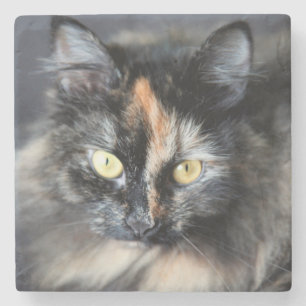 Posavasos De Piedra Gato Siberiano