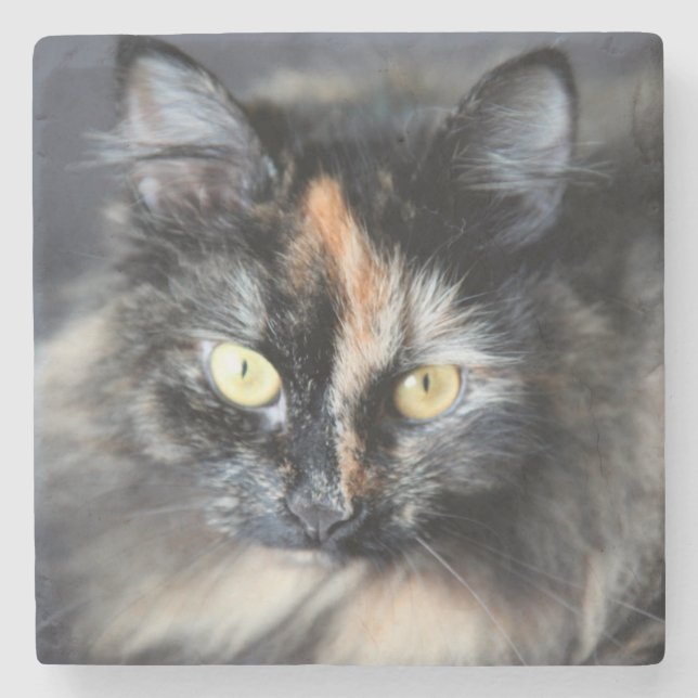 Posavasos De Piedra Gato Siberiano (Anverso)