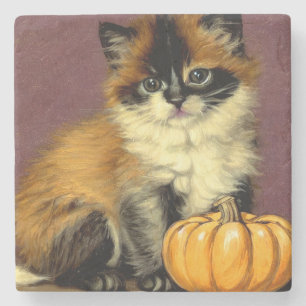 Posavasos De Piedra Gato Vintage Ragdoll Halloween