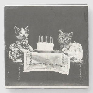 Posavasos De Piedra Gatos de cosecha en una fiesta de cumpleaños