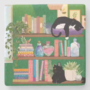 Posavasos De Piedra Gatos de librería