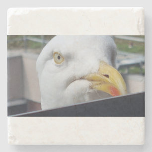 Posavasos De Piedra Gaviota mirando
