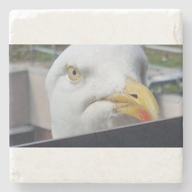 Posavasos De Piedra Gaviota mirando (Anverso)