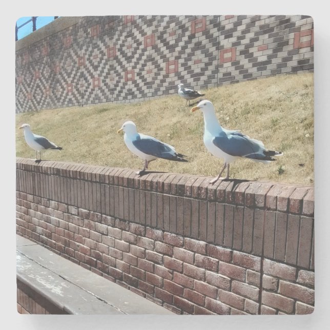 Posavasos De Piedra Gaviotas (Anverso)
