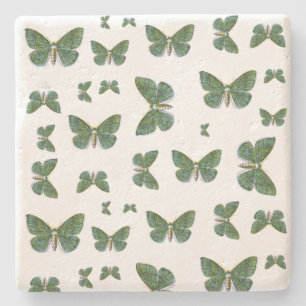 Posavasos De Piedra Geometra papilionaria - La gran esmeralda