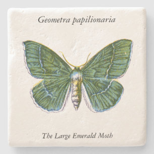 Posavasos De Piedra Geometra papilionaria - La gran esmeralda