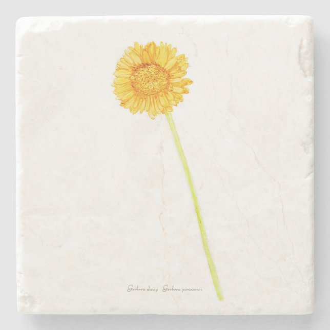 Posavasos De Piedra Gerbera daisy (Anverso)