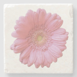 Posavasos De Piedra Gerbera daisy rosa pálido