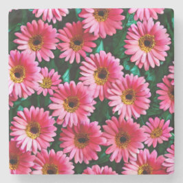Posavasos De Piedra Gerbera Daisy Stone Coaster