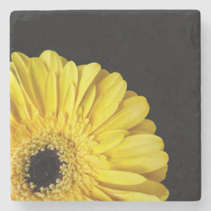 Posavasos De Piedra Gerbera Flower