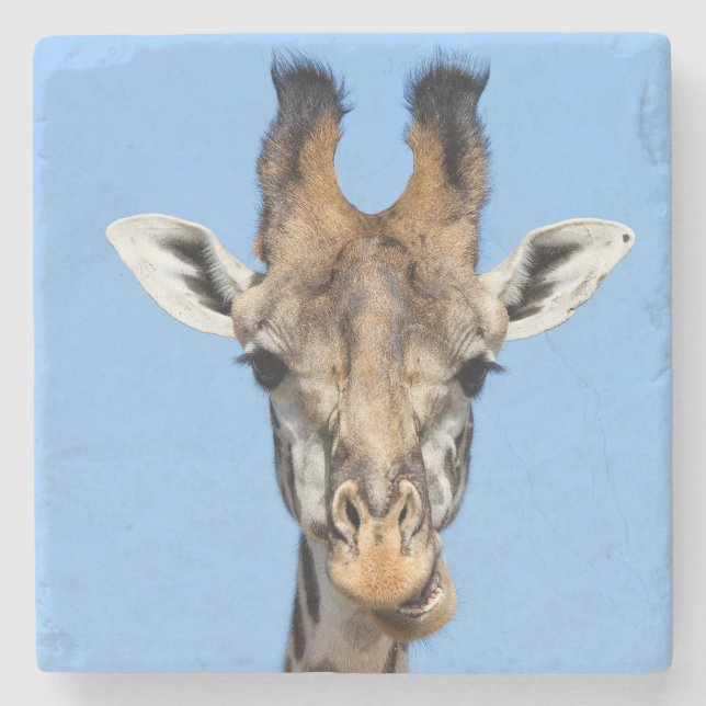 Posavasos De Piedra Giraffe (Anverso)