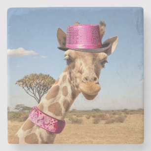 Posavasos De Piedra Giraffe en gorra rosa brillante