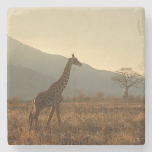 Posavasos De Piedra Giraffe en la sabana