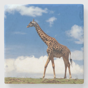 Posavasos De Piedra Giraffe Stone Coaster