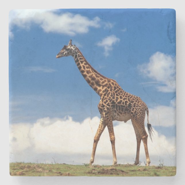 Posavasos De Piedra Giraffe Stone Coaster (Anverso)