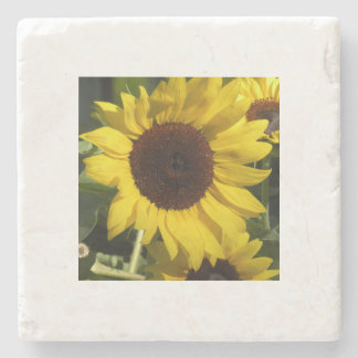 Posavasos De Piedra Girasol