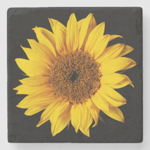 Posavasos De Piedra Girasol en plantilla floral de la flor negra de