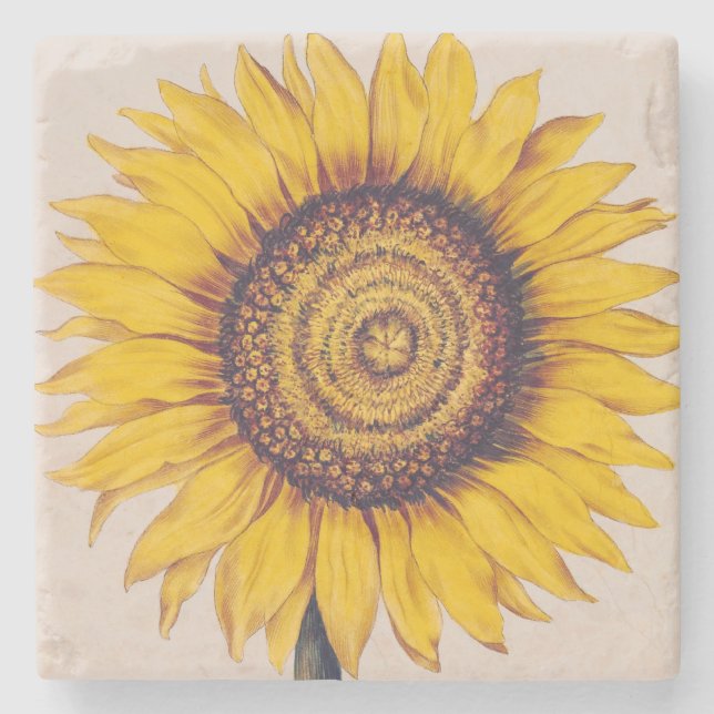Posavasos De Piedra Girasol o Helianthus (Anverso)