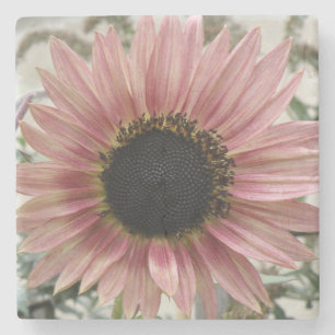Posavasos De Piedra Girasol rosa pálido
