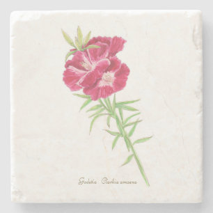 Posavasos De Piedra Godetia