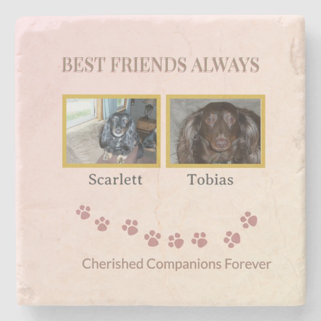 Posavasos De Piedra Golden Pawprints Friendship Tribute (Anverso)