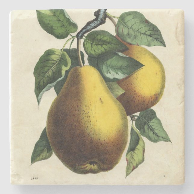 Posavasos De Piedra Golden Pears Square (Anverso)