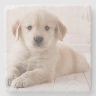 Posavasos De Piedra Golden retriever que se acuesta
