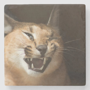 Posavasos De Piedra Goofy Lynx