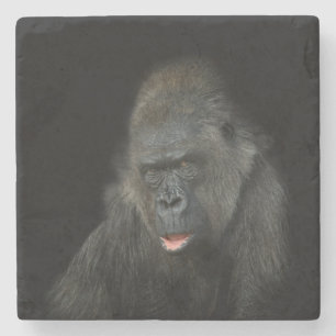 Posavasos De Piedra Gorilla Biddy