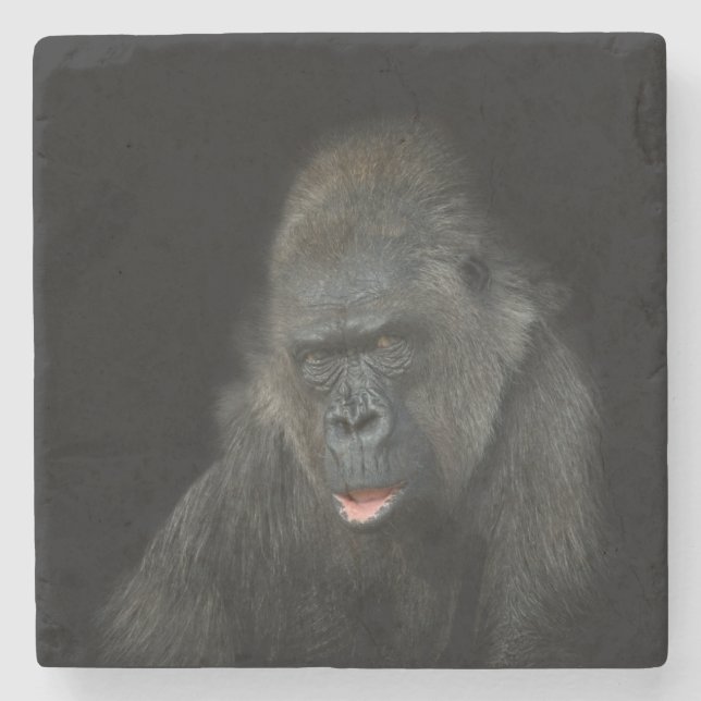 Posavasos De Piedra Gorilla Biddy (Anverso)