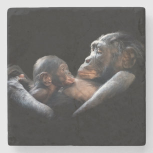 Posavasos De Piedra Gorillas