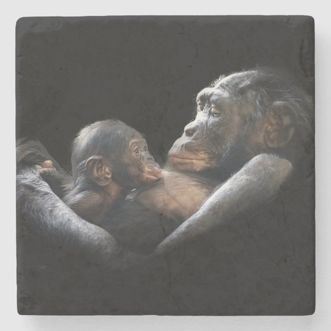 Posavasos De Piedra Gorillas (Anverso)