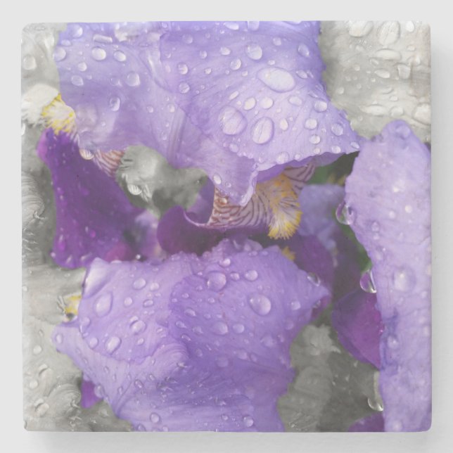 Posavasos De Piedra gotas de lluvia sobre el iris (Anverso)